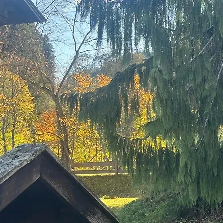 Ciao-aschau Sachrang Haus Spitzstein Klos Appartement Aschau im Chiemgau